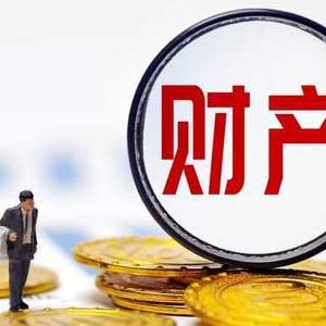 财产调查
